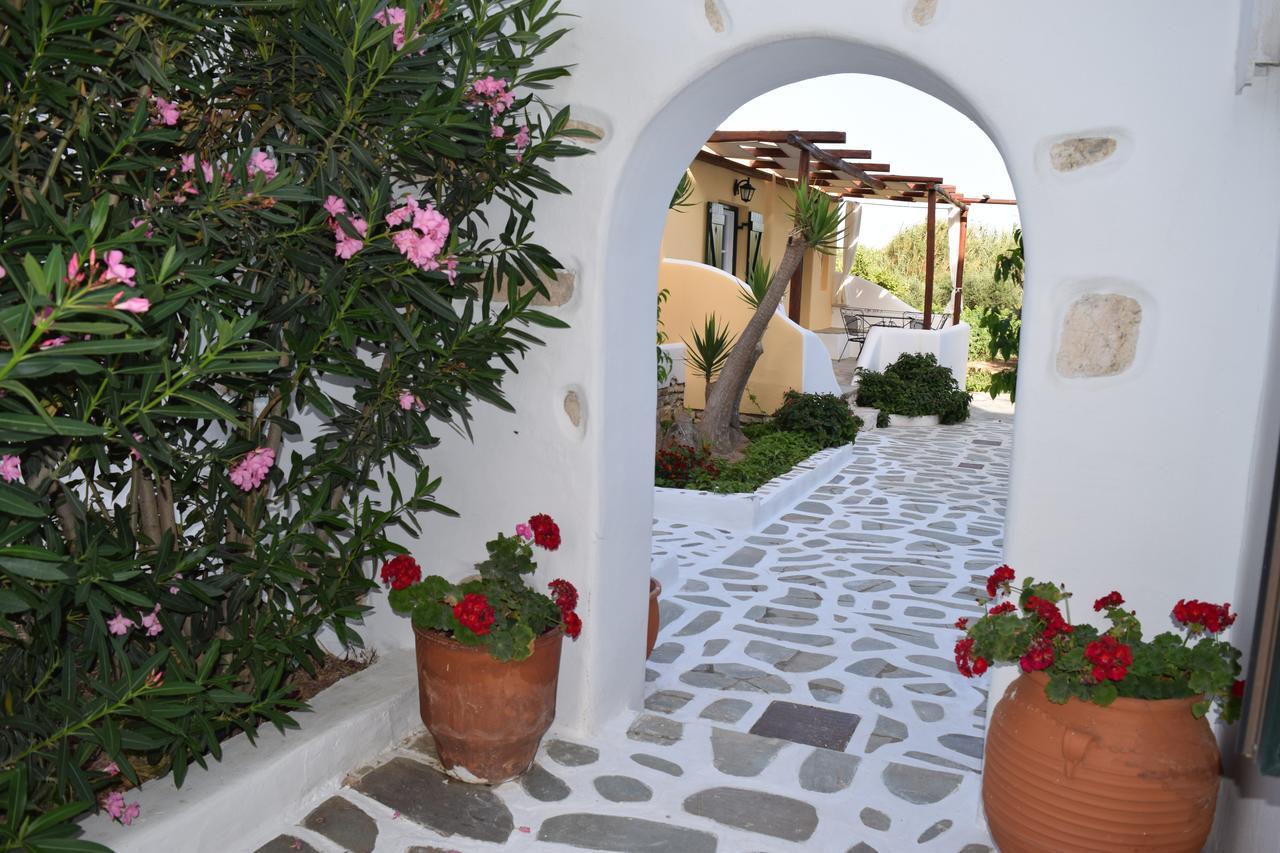 Tzane Studios & Apartments - Steps Away From Golden Beach Chrisi Akti  Bagian luar foto