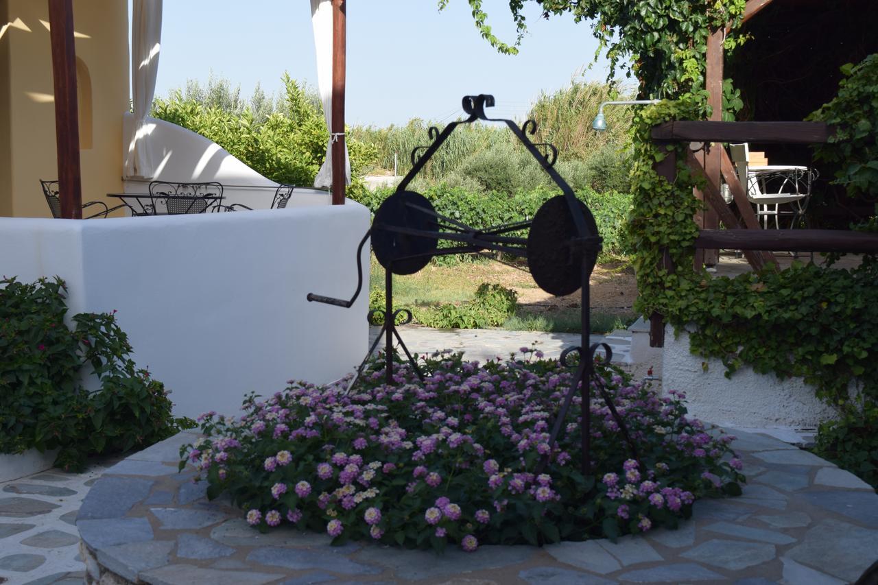 Tzane Studios & Apartments - Steps Away From Golden Beach Chrisi Akti  Bagian luar foto